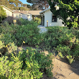 Review image 2