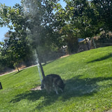Review image 3