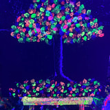 Review image 2