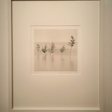 Review image 4