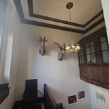 Review image 2