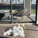 Review image 4