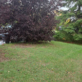 Review image 2