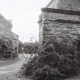 Review image 3