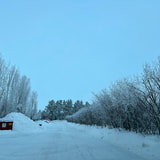 Review image 4