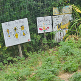Review image 2