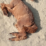 Review image 1