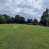 Review image 3