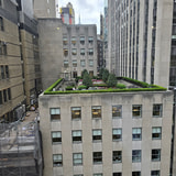 Review image 4