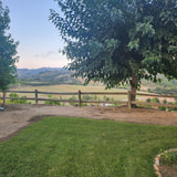 Review image 4