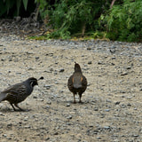 Review image 4