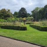 Review image 4