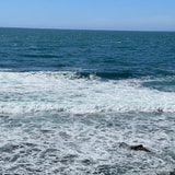 Review image 2
