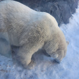 Review image 2