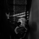 Review image 4