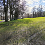 Review image 2