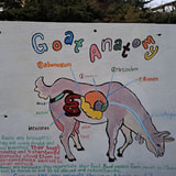 Review image 3