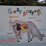 Review image 4