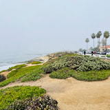 Review image 2