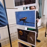 Review image 3